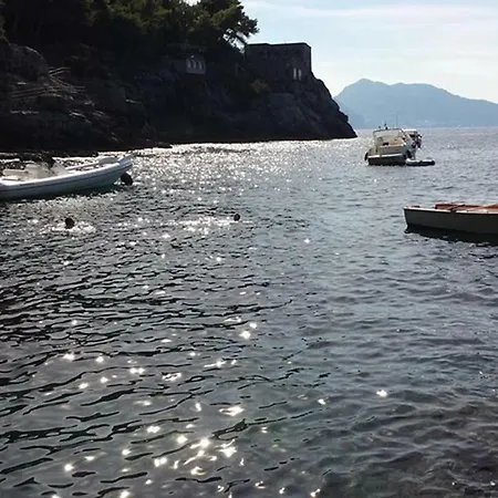 La Farfalla Bianca *